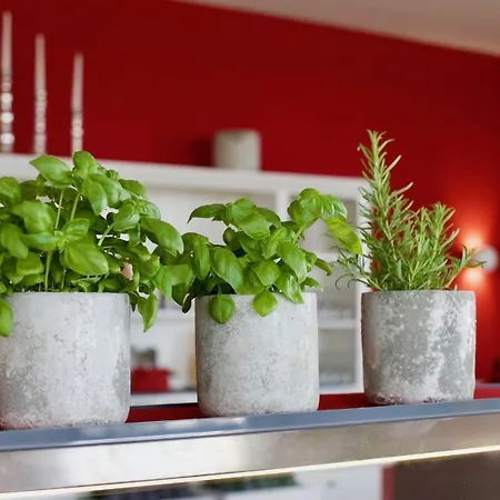 Seeliebe זיפלינגן